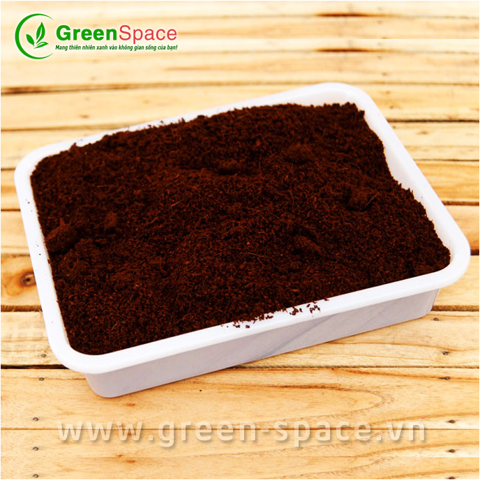 Đất trồng cây Sài Gòn