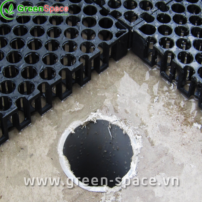 Lắp vỉ nhựa thoát nước trên mái