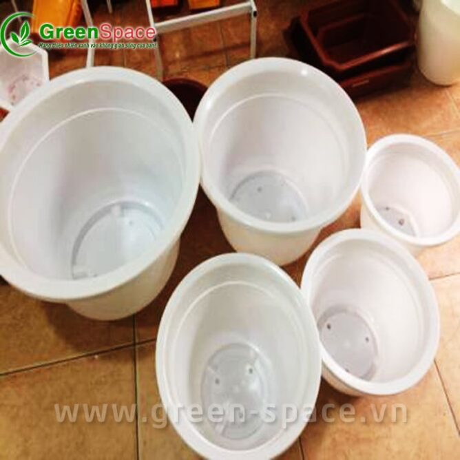 Chậu tròn trắng