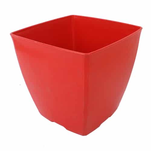 Chậu vuông tứ giác