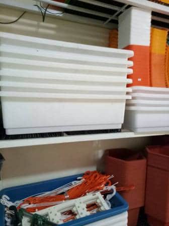 Chậu nhựa trồng rau lớn
